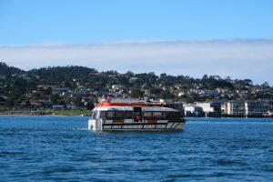 Cruise Excursion Tender Accident